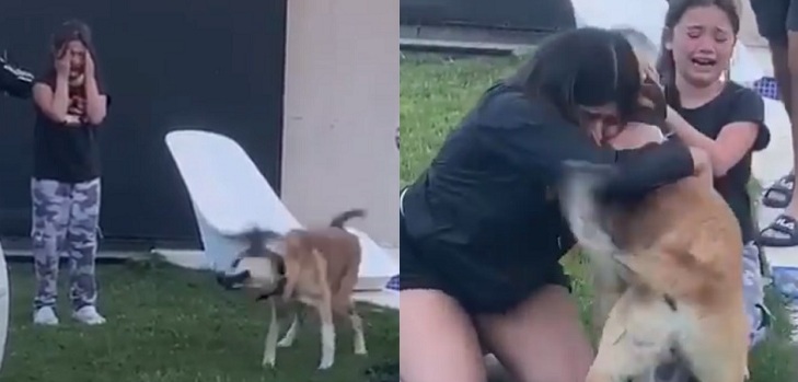 Mascota llevaba dos meses desaparecida: emotivo reencuentro entre niñas y su perro se viralizó