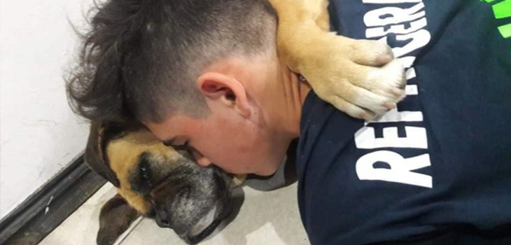 Perrita murió en los brazos de su dueño luego de sufrir ataque por fuegos artificiales