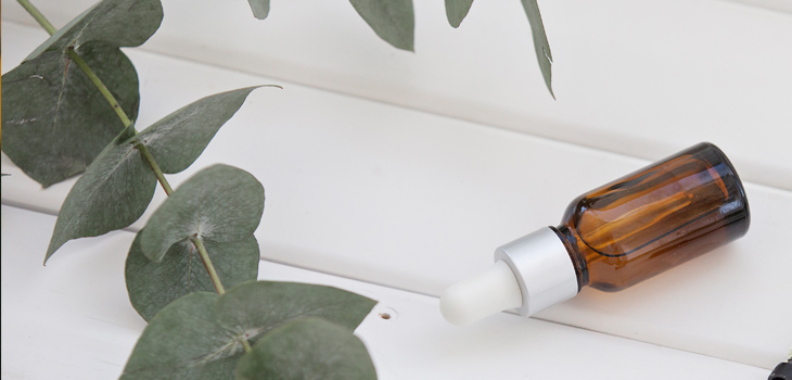 Combate la caspa y ayuda a descongestionar: conoce los beneficios del aceite de eucalipto