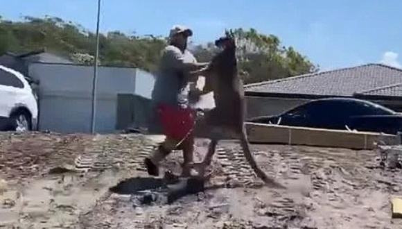 Una imagen pocas veces vista: hombre se enfrenta a canguro que intentaba entrar a su casa
