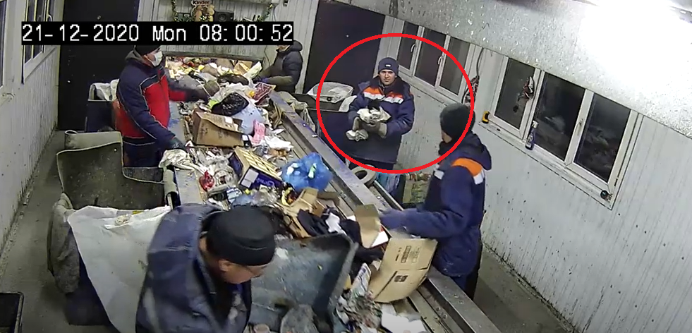 Gato arrojado a la basura fue salvado por un trabajador justo antes de que pasara por la trituradora