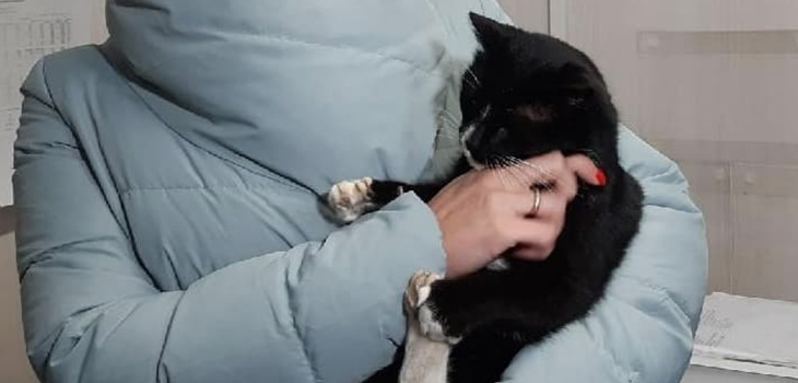 Gato salvado de ser triturado en la basura fue nombrado viceministro de Medio Ambiente en Rusia