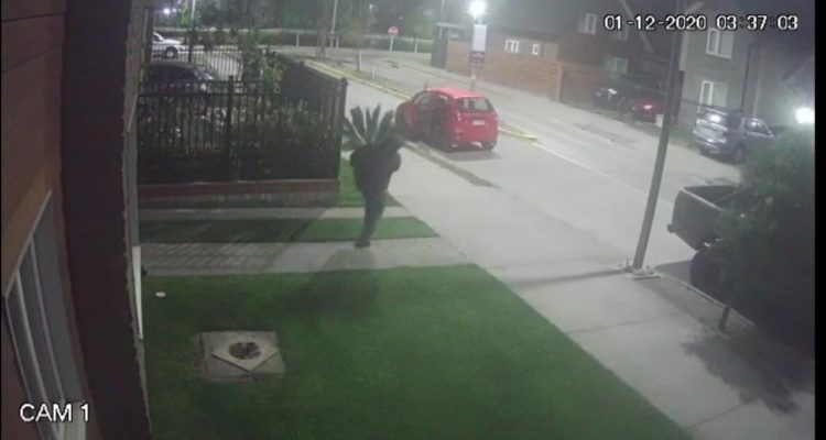 ¿Será este el robo más ordinario del último tiempo? Captan insólito hecho en Talcahuano