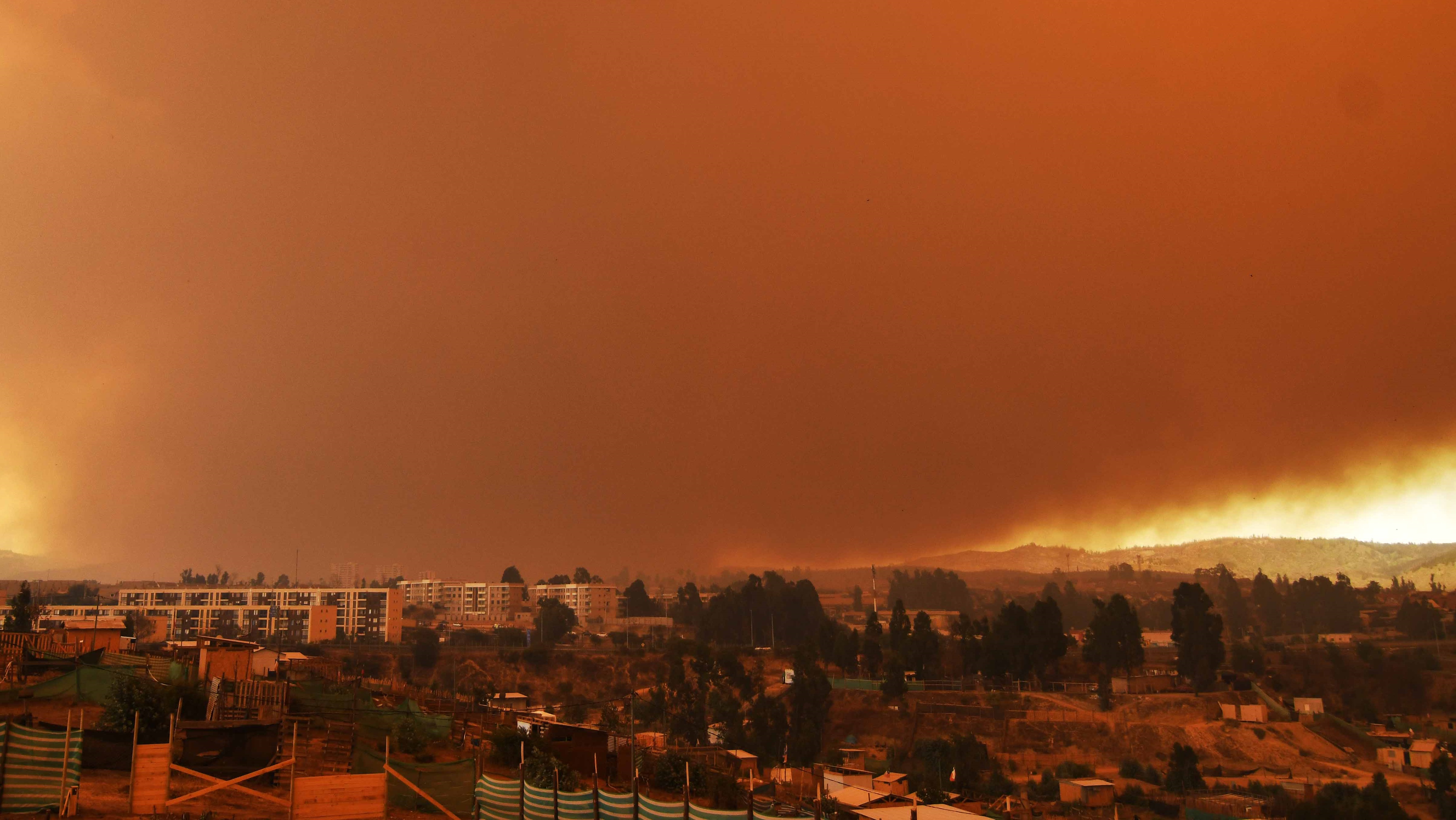 Incendio forestal en el norte de Quilpué: Onemi ordena evacuar sectores Los Pinos y Colinas de Oro