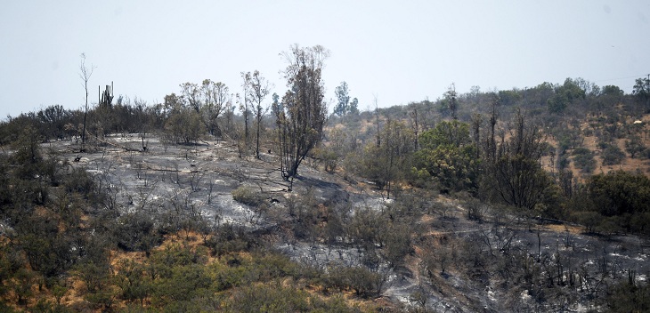 Descartan regreso de evacuados pese a disminución de riesgo para casas en incendio de Quilpué