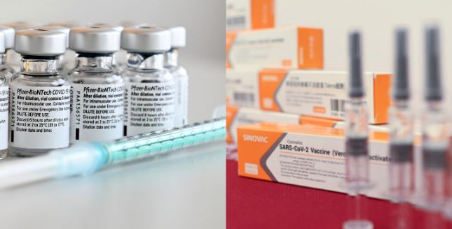 Vacunas Sinovac serán entregadas solo a menores de 59 años: dosis Pfizer serán redestinadas