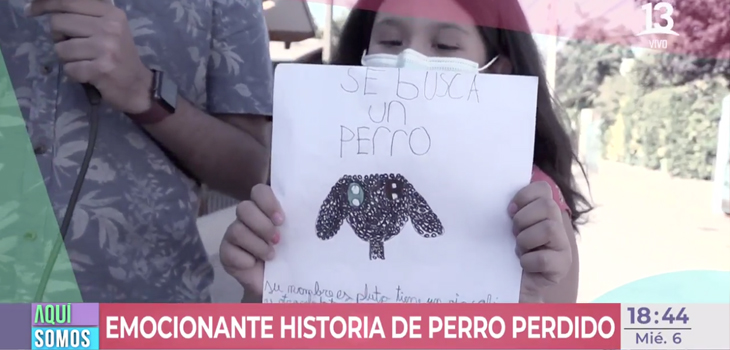 Búsqueda de perrito que se hizo viral tuvo final feliz: niña se reencontró con su mascota