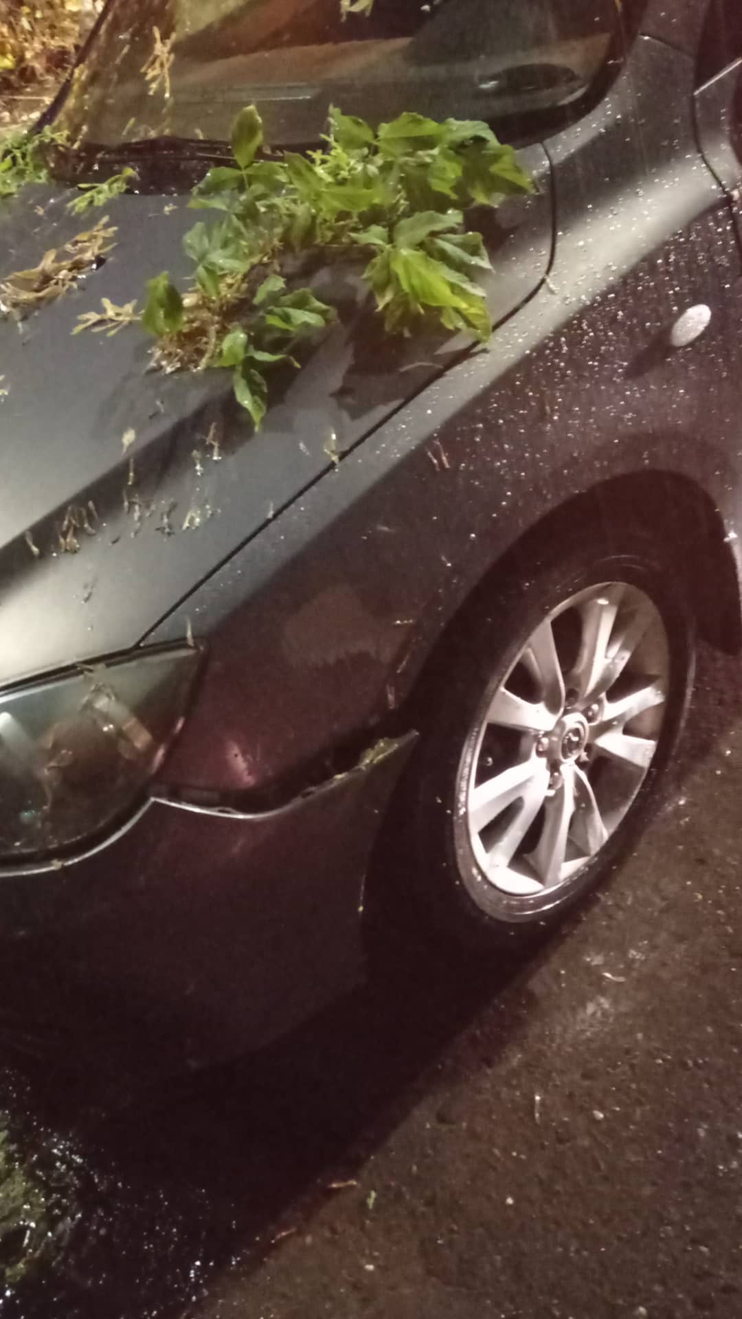 Claudia Pérez y Rodrigo Muñoz