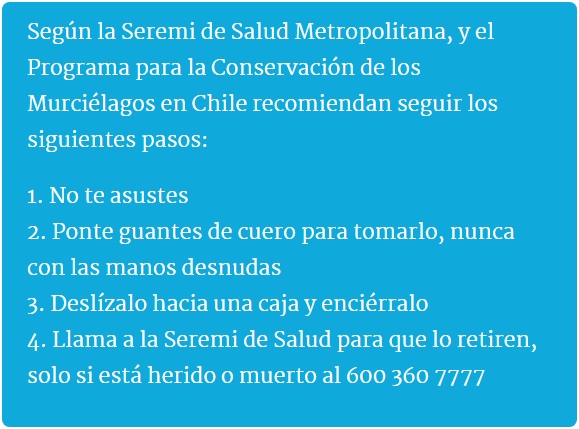 seremi salud metropolitana
