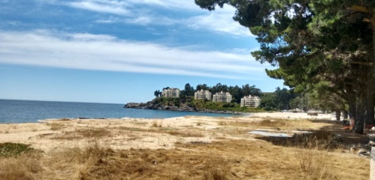 11 detenidos deja fiesta clandestina en balneario Pingueral de Tomé: hay 3 menores de edad