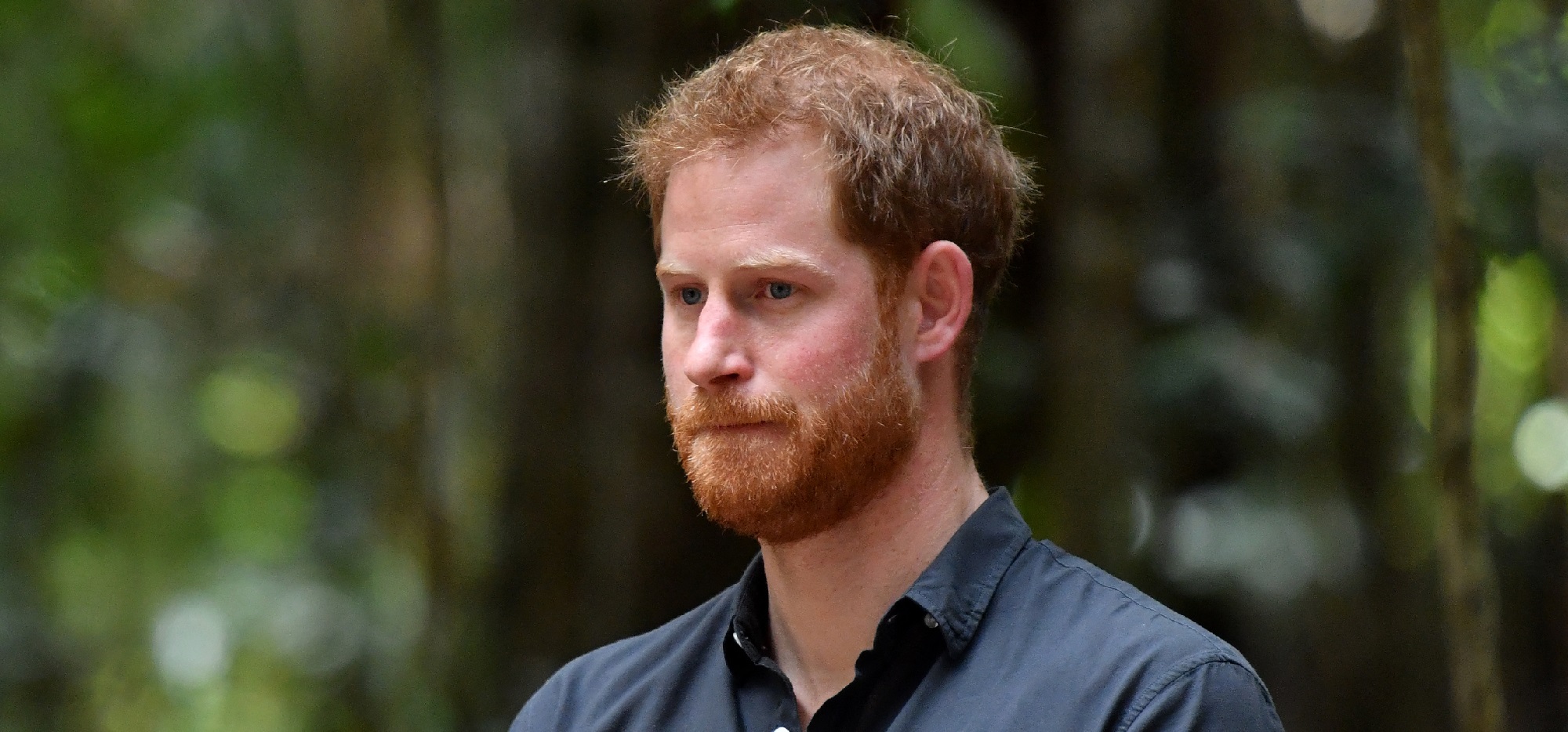 Príncipe Harry consigue su segundo trabajo en menos de 48 horas: luchará contra la desinformación