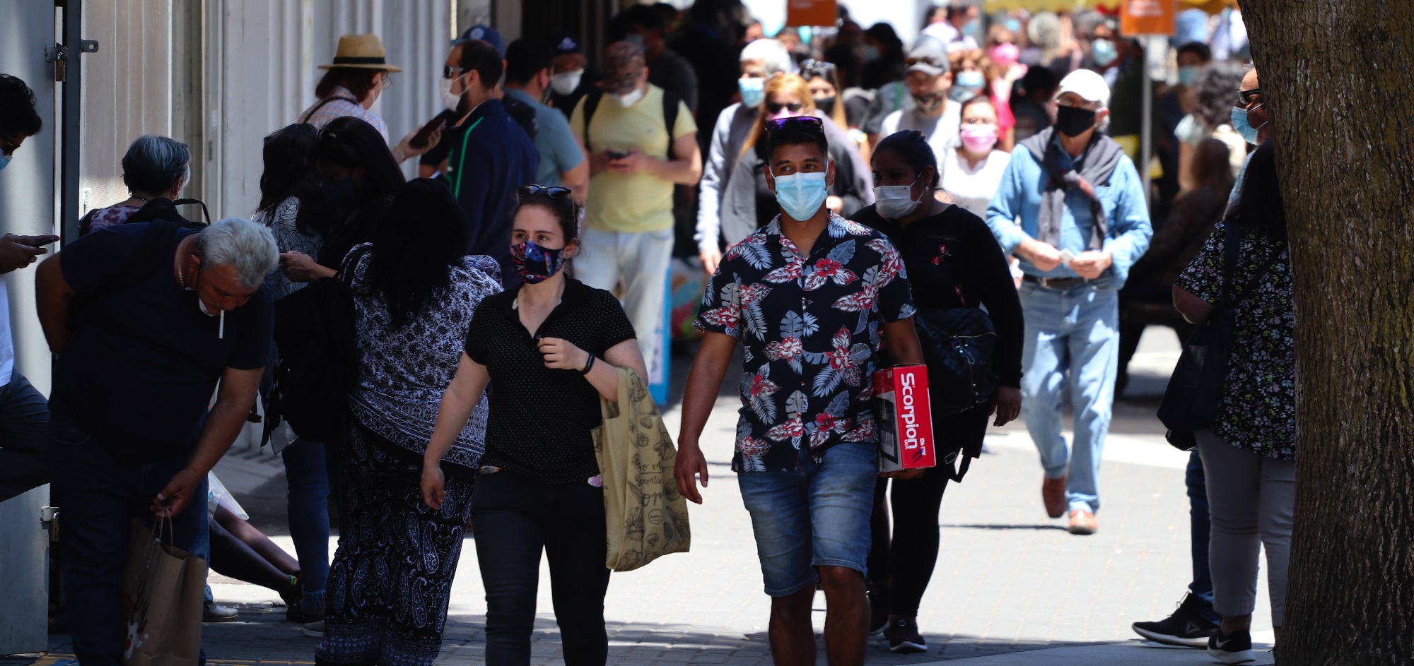 Minsal reportó 3.528 nuevos casos de COVID-19: red hospitalaria tiene 188 camas críticas disponibles