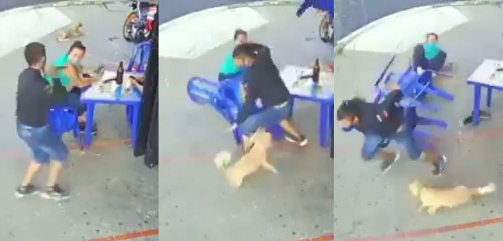 Perro salvó a sus dueñas de ser asaltadas en Colombia: video del heroico momento es viral