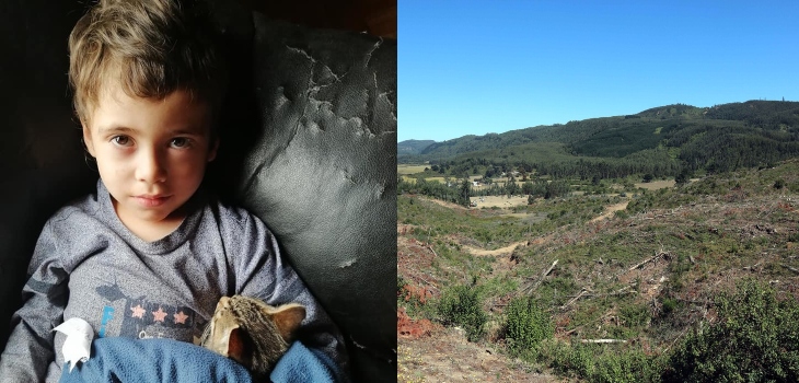 Ante hipótesis: confirman que SAG instaló cámaras para detectar pumas en búsqueda de Tomás Bravo