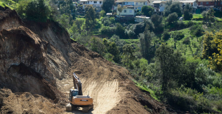 Corte Suprema se suma a la Contraloría y refuerza posición que cuestiona manejo de bosques nativos