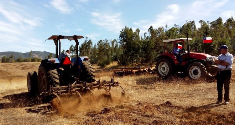 Aumenta tensión en La Araucanía por toma de predios: se estiman cerca de 120 terrenos ocupados