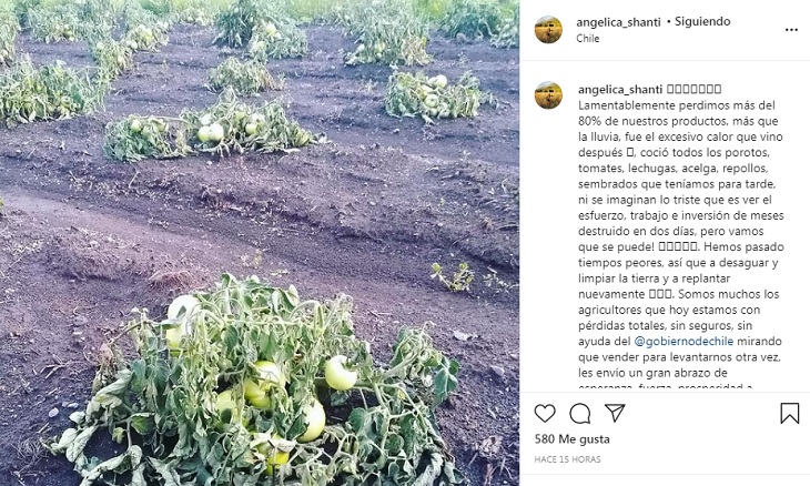 Angélica Sepúlveda