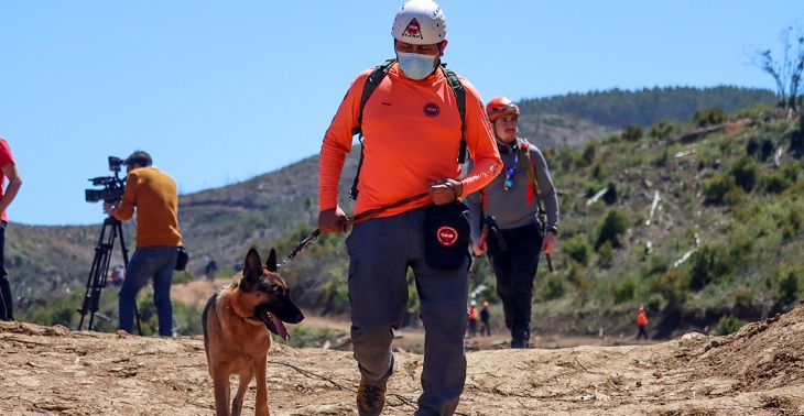 busqueda tomas bravo