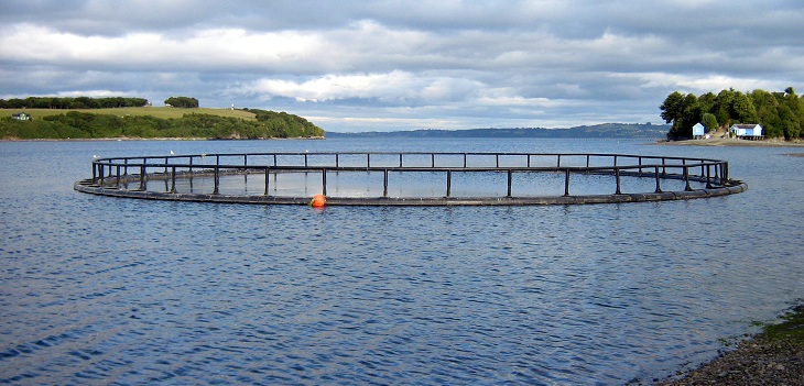 Pintura con óxido de grafeno: el producto que busca revolucionar mineras y salmoneras en Chile