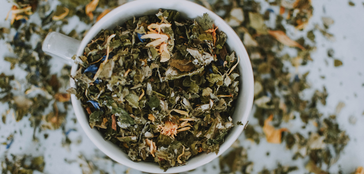 Estudio: antioxidante del té verde podría multiplicar proteínas supresoras de tumores cancerígenos