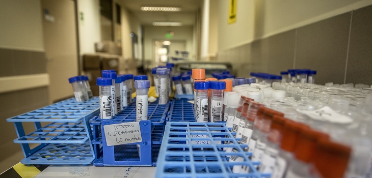 5.928 casos nuevos de COVID-19: toma de exámenes PCR marca récord con 69.715 pruebas en un día