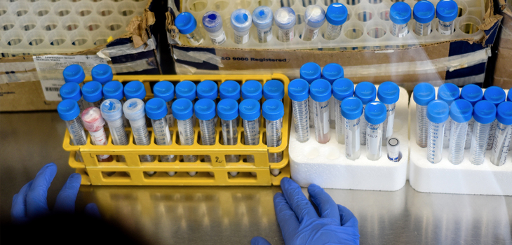 Más fácil de recordar: OMS utilizará letras griegas para denominar las variantes del virus COVID-19