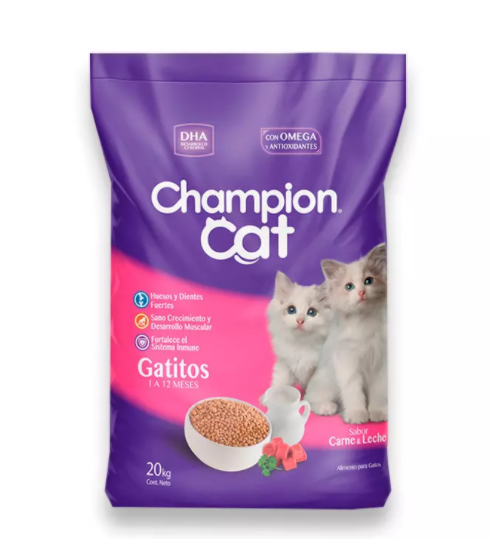 Champion cat