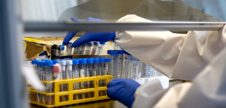 Informe OMS: COVID se transmitió vía animal y es 