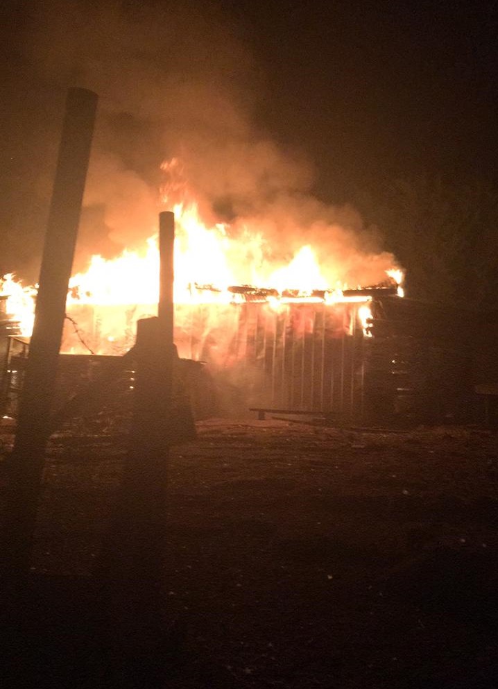 Cedida a BioBio Chile