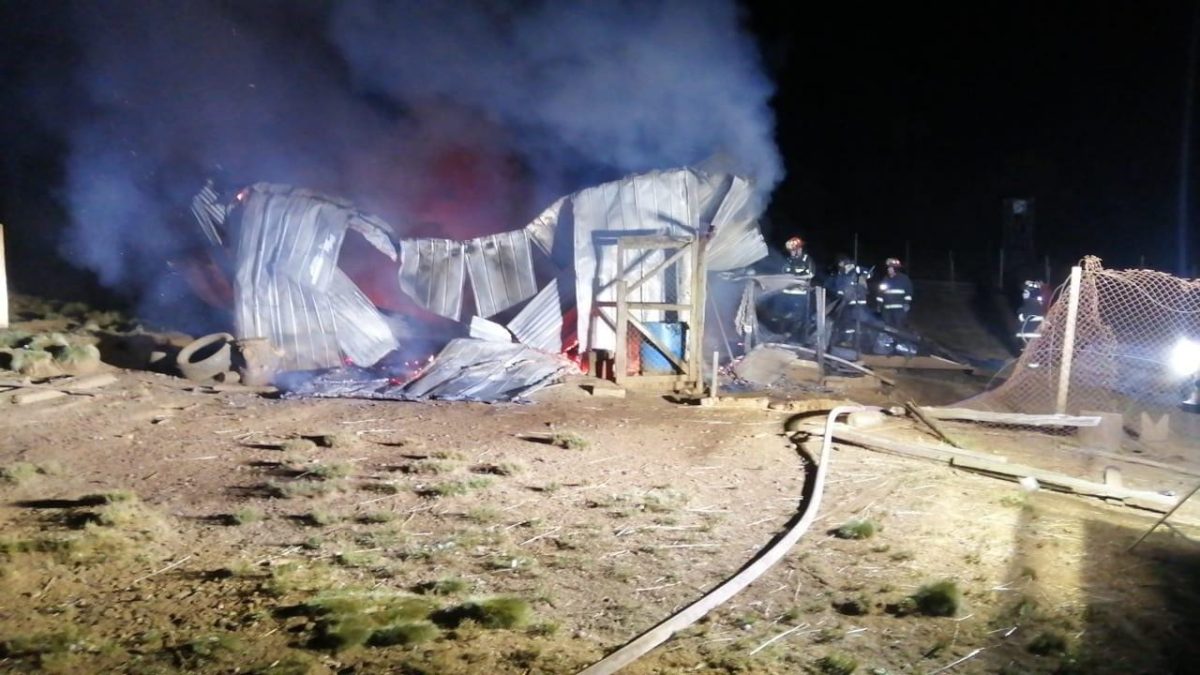 Cedida a BioBioChile