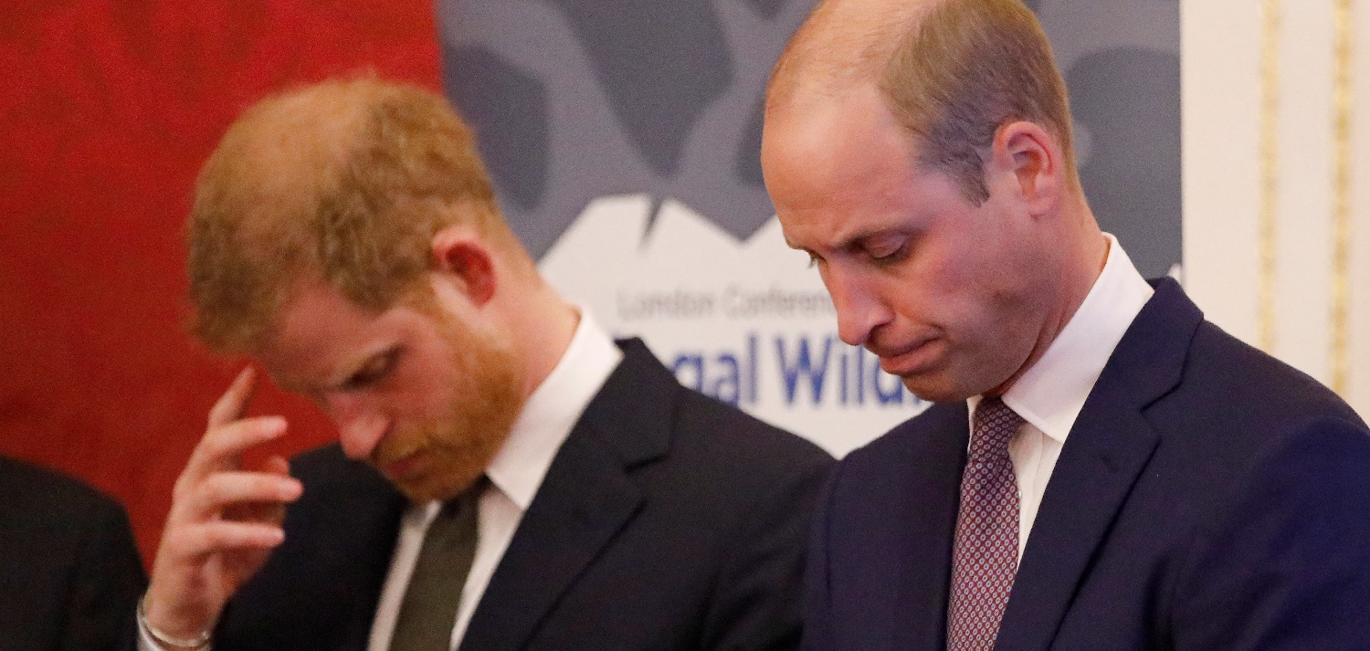 Palacio reveló nuevos detalles de funeral de Felipe: Harry y William no irán juntos tras el féretro