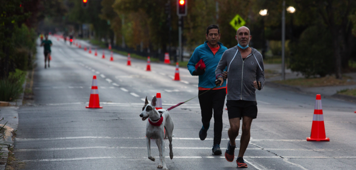 Pese a petición de parlamentarios: Paula Daza descarta nueva franja horaria en comunas en fase 1 y 2