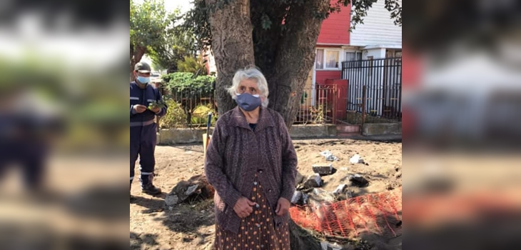 Adulta mayor se aferró a árbol para evitar que sea talado en medio de proyecto de pavimentación