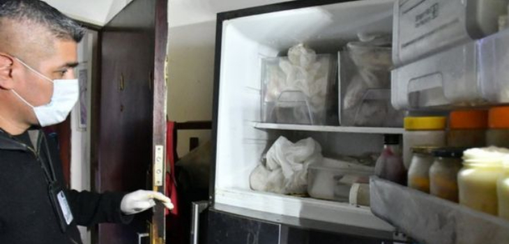 Crudo caso de maltrato animal en Argentina: hallan 7 gatos muertos en congelador de departamento