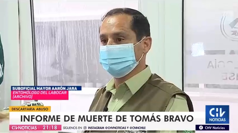 informe entomológico