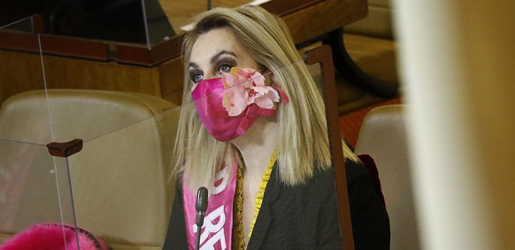 Diputada Pamela Jiles aseguró que 