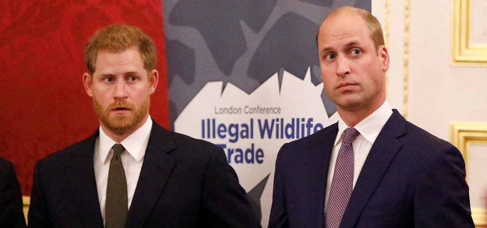 William y Harry critican a BBC por engañar a Diana para lograr entrevista: 