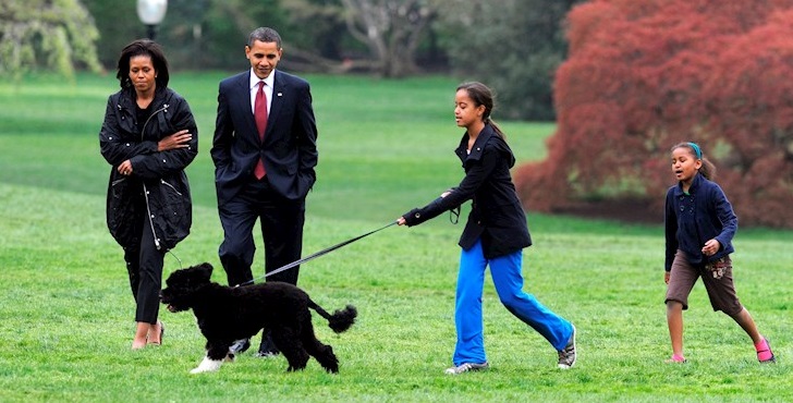 Fallece 'Bo', uno de los perros de la familia Obama: expresidente Barack le dedicó sentido mensaje