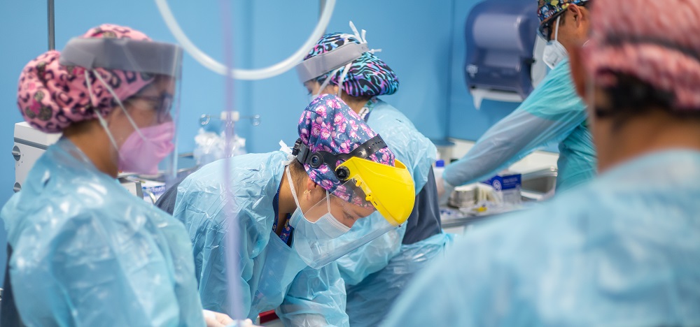 Reportan 3.771 casos nuevos de COVID-19: Biobío y La Araucanía lideran contagios en regiones