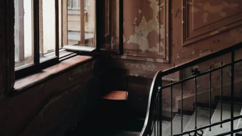 Cadáver de una mujer fue encontrado junto a sus gatos: llevaba varias semanas muerta en su casa