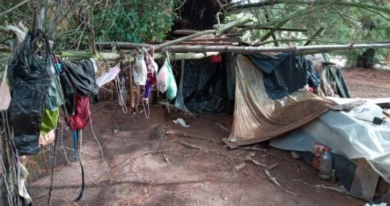 Adulto mayor vive hace cuatro años debajo de un árbol en Quillón: se rehúsa a abandonar su refugio