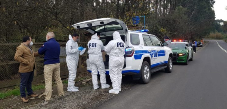 Anciana de 84 años fue encontrada muerta en Osorno: vivía con 16 perros y en completo abandono