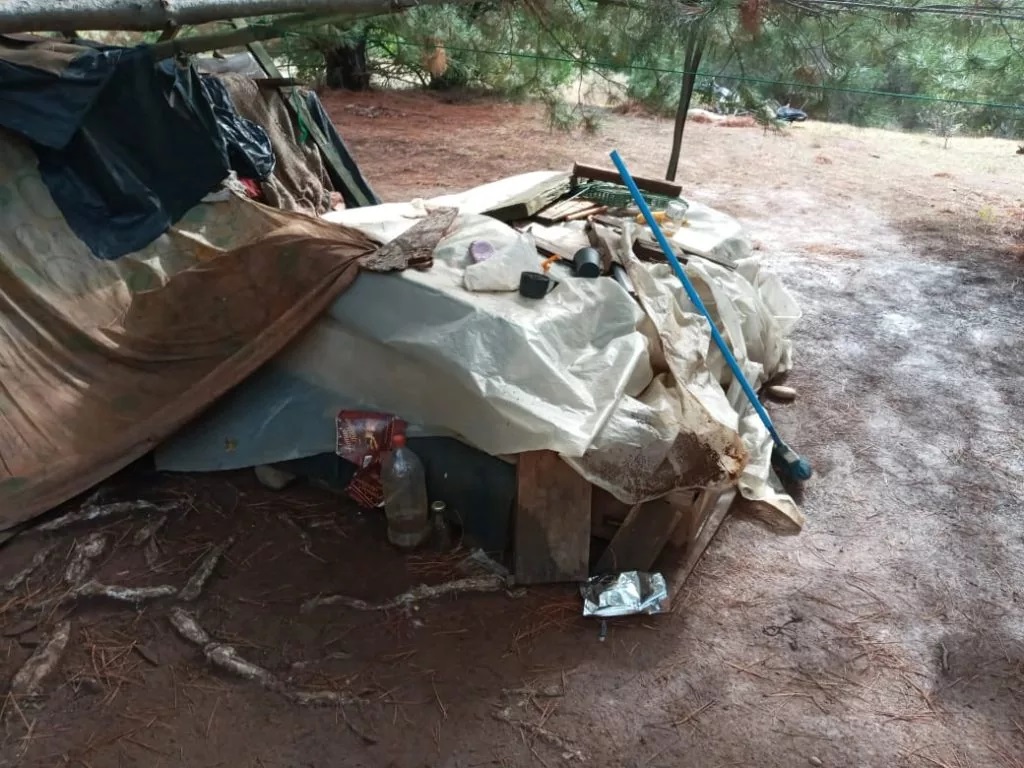 Refugio bajo el árbol