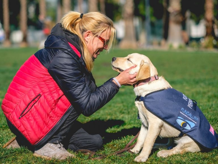 Brit Lambers Perros guía