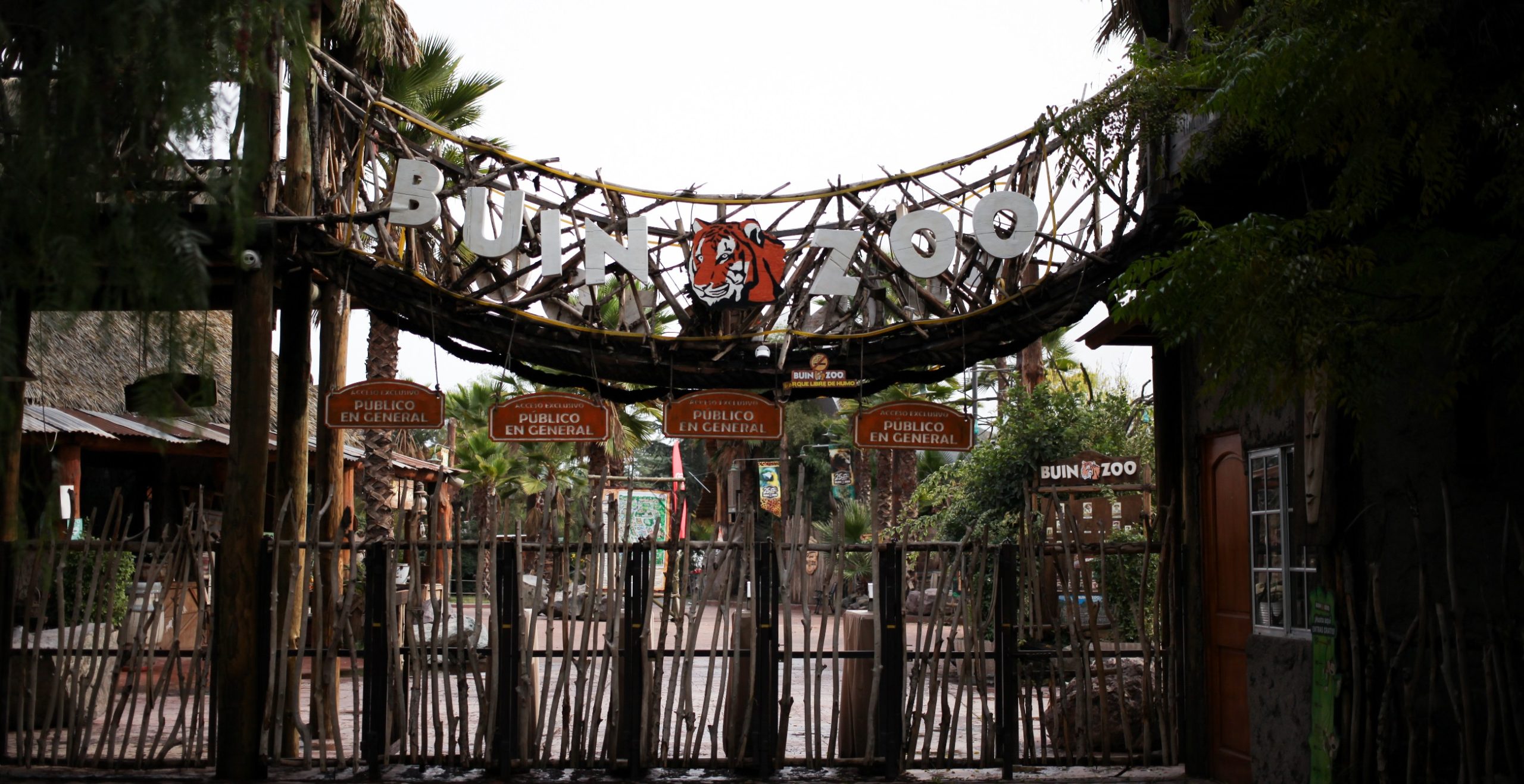 Funcionarios de Buin Zoo anunciaron reapertura con pegajoso video: incluyeron a animales en el baile