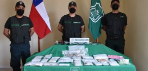 Gendarmería decomisó carga prohibida oculta en planchas de madera en Complejo de Alto Hospicio