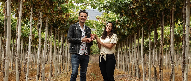 Sergio Lagos y el descubrimiento que lo sorprendió en Alambique, programa dedicado al pisco chileno