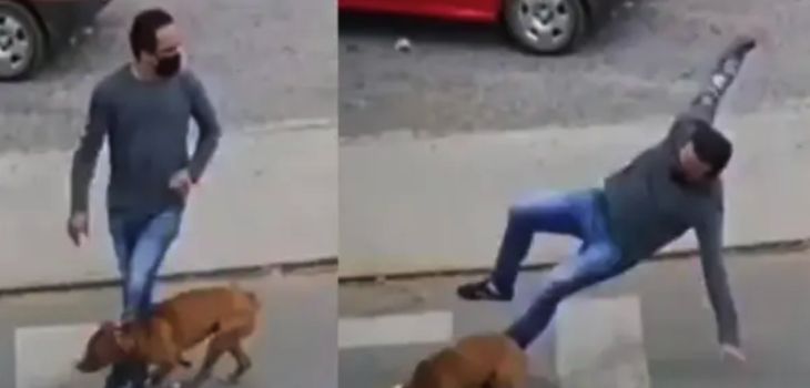 La verdadera y triste historia tras video viral de perro 'atropellando' a un transeúnte