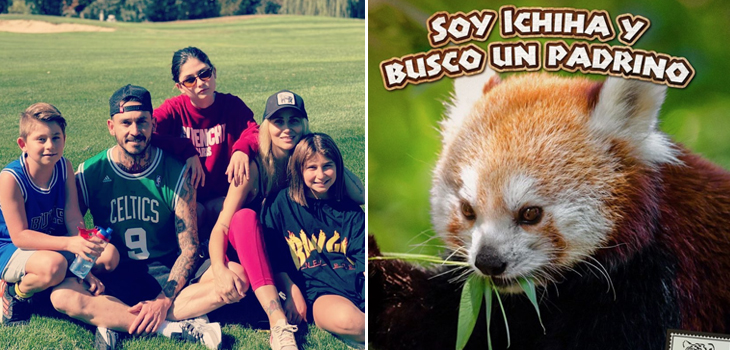 Hijos de Gissella Gallardo y Mauricio Pinilla se sumaron a campaña de Buin Zoo: apadrinaron animales