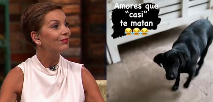 Fran García-Huidobro compartió pequeño percance que sufrió por culpa de su perrita: 